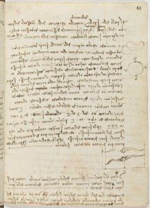 Código sobre el vuelo de los pájaros, c. 1505-06, manuscrito en papel, cc. 18, hoja 14 recto de Leonardo da Vinci